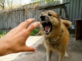 СК «РОСНО» запускает в Ставрополе специальную программу страхования жилья 