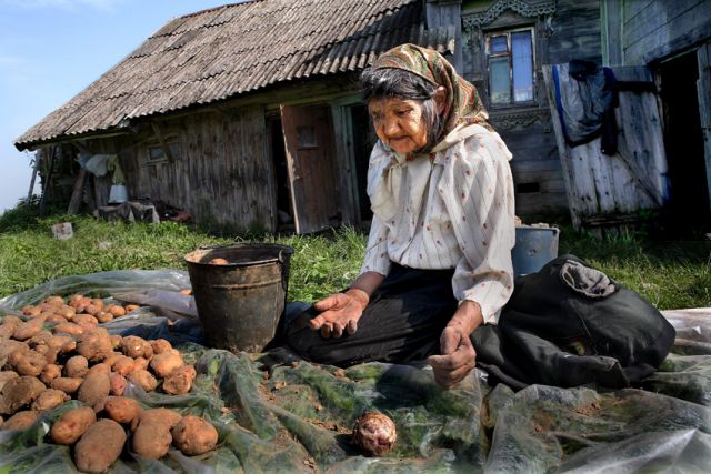 ВСК в Республике Татарстан выплатила 6 млн. рублей за поврежденный урожай картофеля