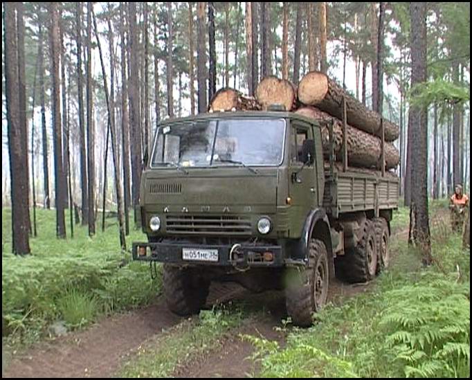 СК «Согласие» обеспечит ОСАГО транспортные средства ГУ лесного хозяйства Омской области