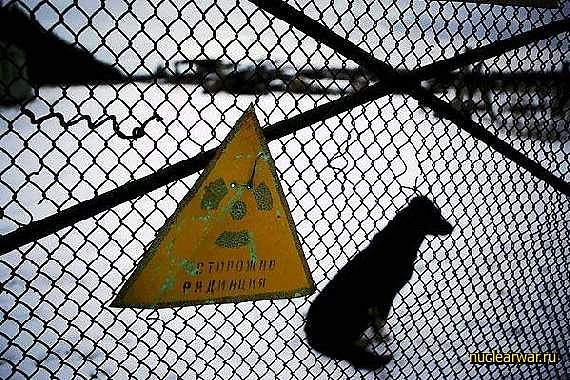 Власти Украины не могут застраховать Чернобыльскую АЭС