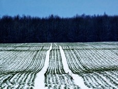 ГСК «Югория» выплатила страховое возмещение сельхозпроизводителю Ростовского региона